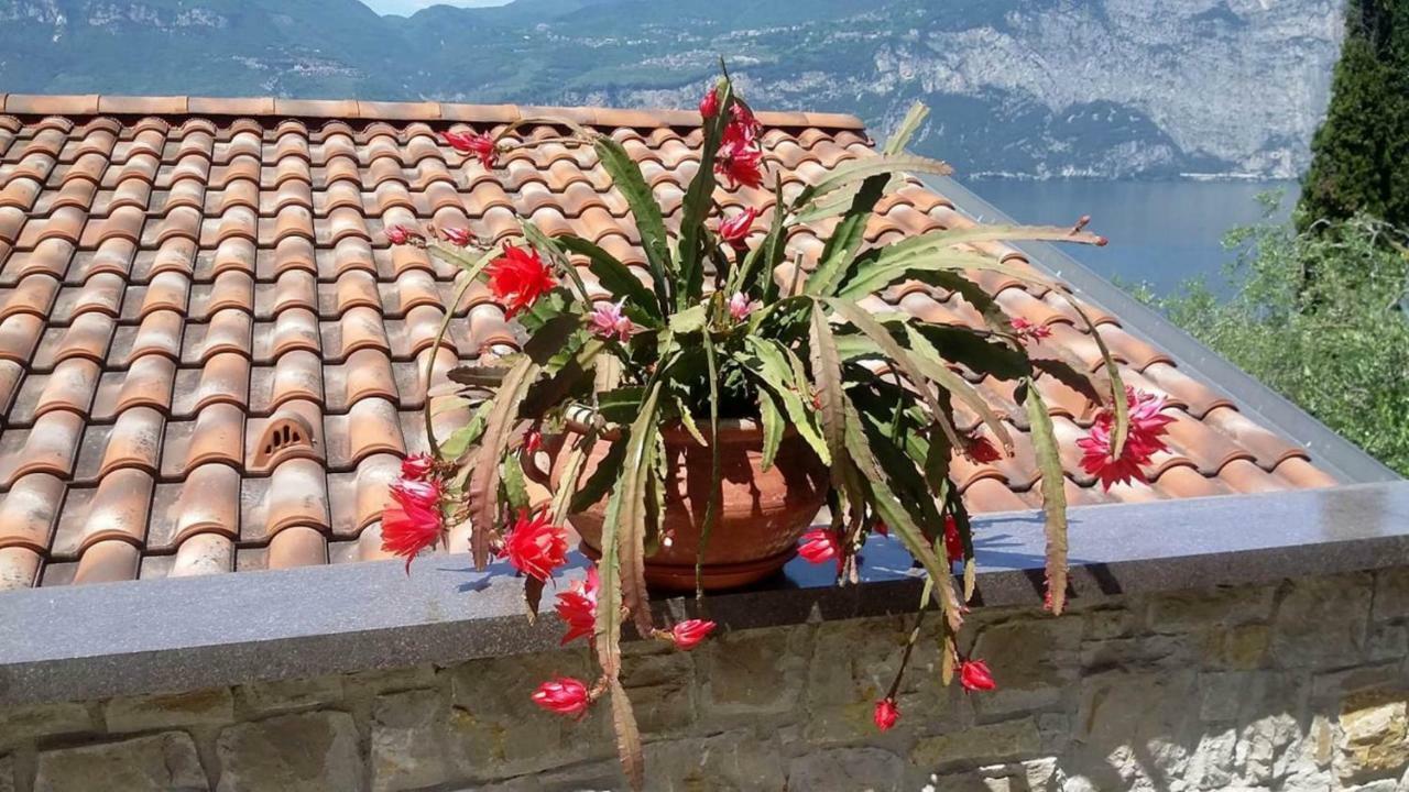 Апартаменты Casa Valenti Бренцоне-суль-Гарда Экстерьер фото