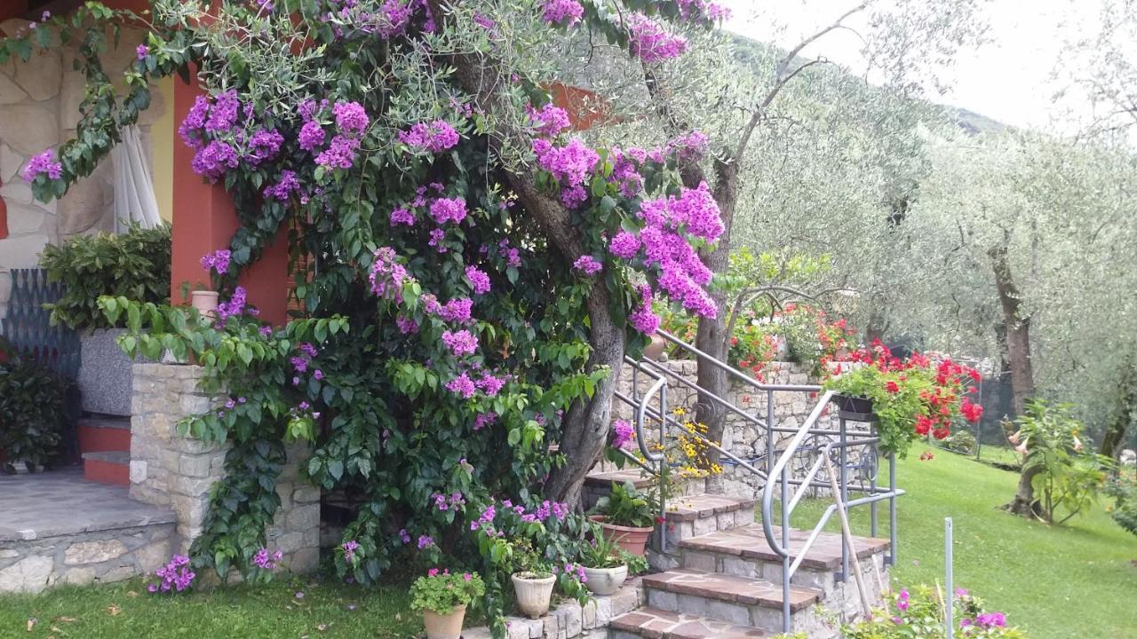 Апартаменты Casa Valenti Бренцоне-суль-Гарда Экстерьер фото